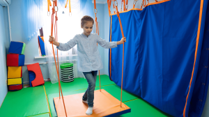 Sensory Integration